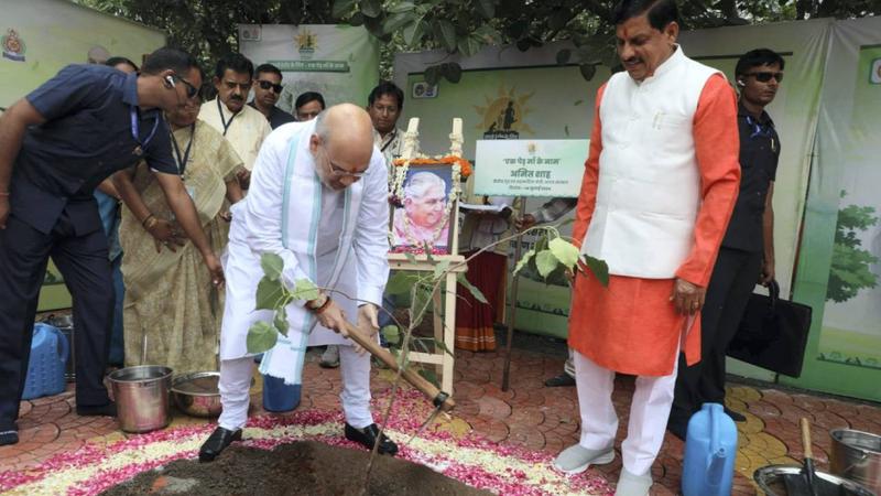 Amit Shah plants a sapling