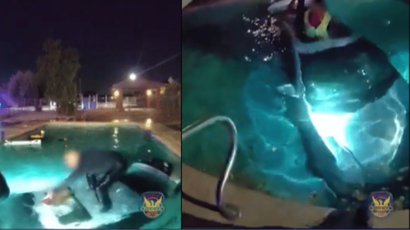 On Camera: Man Drives Car Into Swimming Pool, Here's What Happens Next