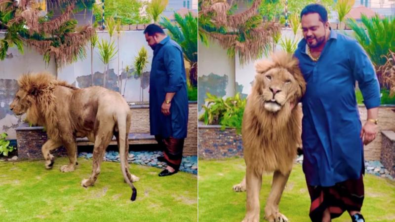 Pakistani Man Playing With Lion, Viral Video