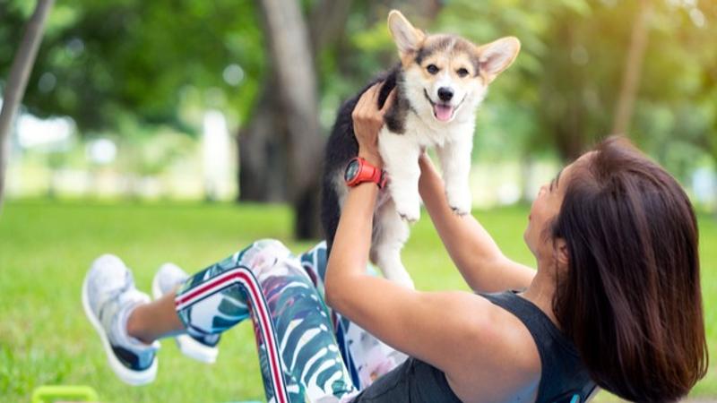 Pet-friendly workout 