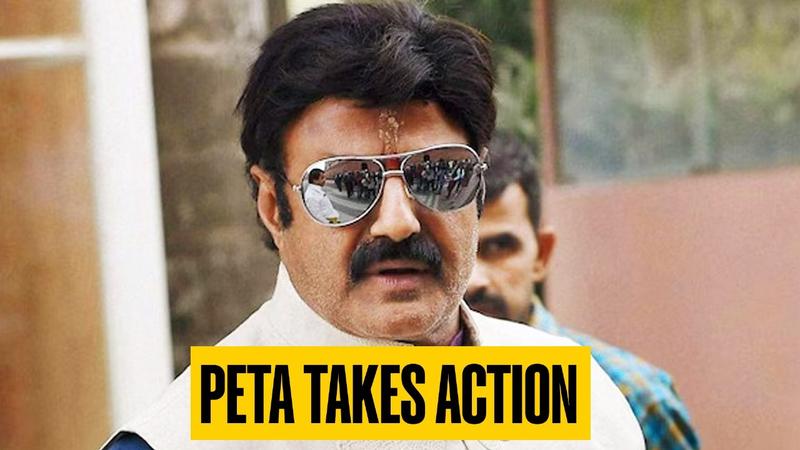 PETA Takes Action Against NBK Fans