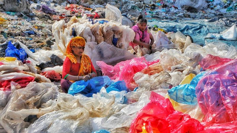 Plastic Pollution