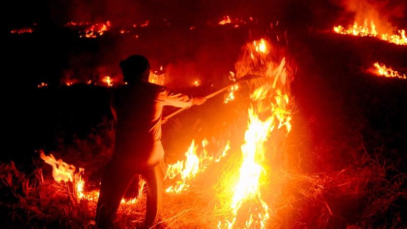 Punjab stubble burning