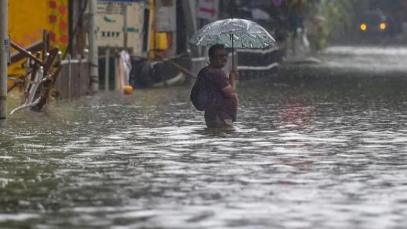 Rajasthan Rain