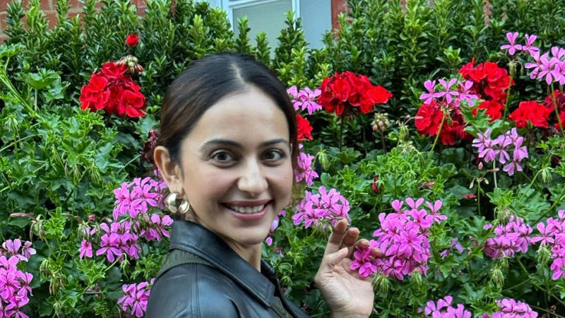  Rakul Preet Singh Shares photos on Instagram