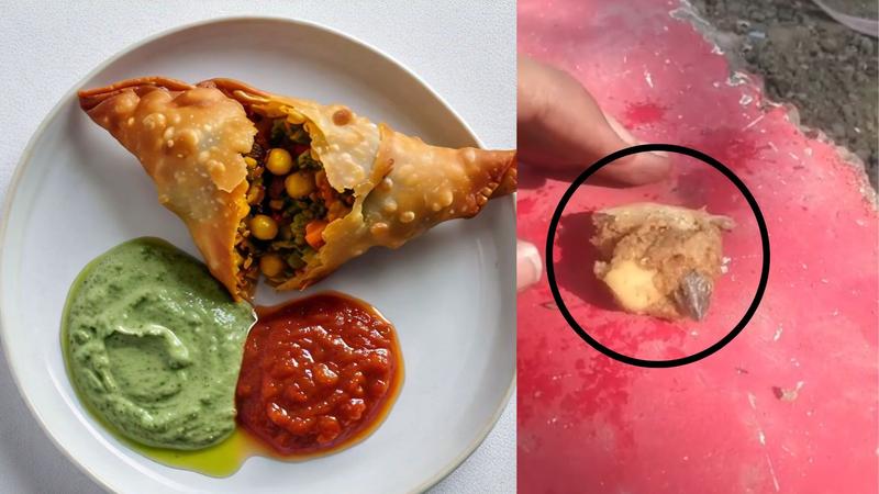 Samose me Chhipkali