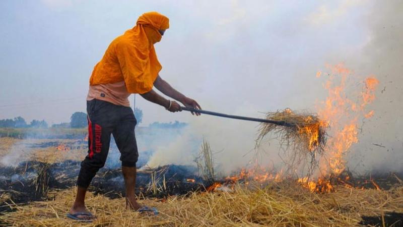 SC slams Air Quality Commission over Stubble burning incidents