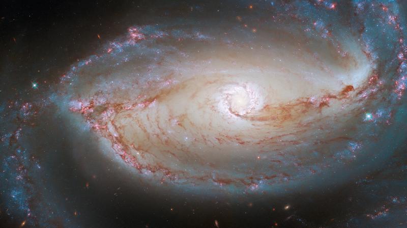 Scientists Discover 'Weird' Galaxy Offering Insights into Universe's Origins