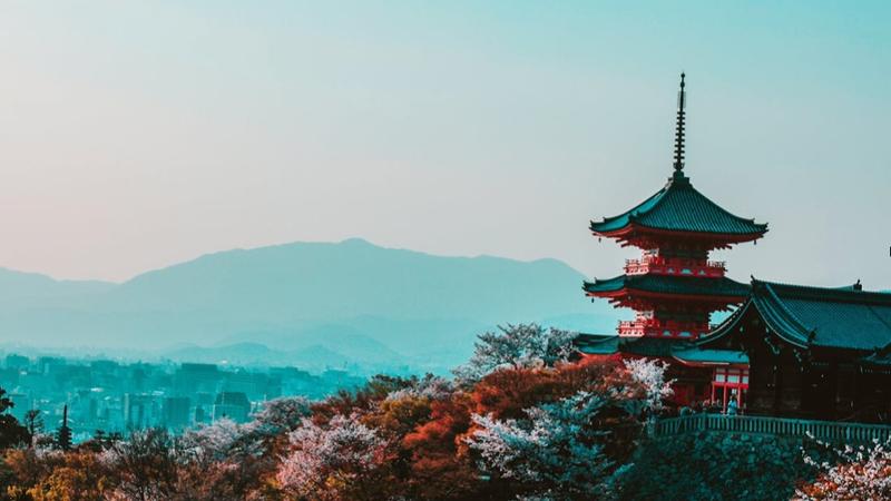 Exploring Recent Developments in Japan's Advancing Online Gambling Sector