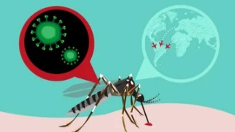 Is pregnancy at risk due to Zika virus?