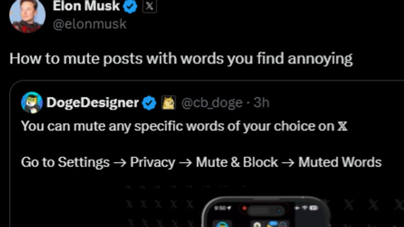 Elon Musk Retweets 'How to Mute Annoying Words on X' Sparks Online Debate