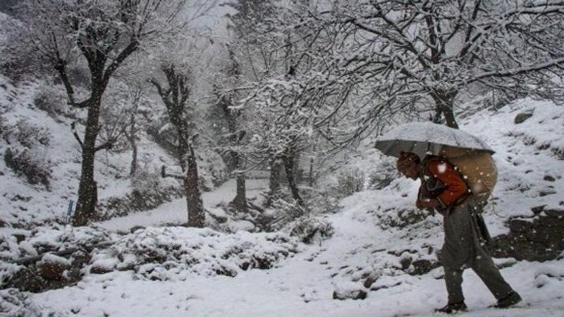 Season's first snowfall in higher reaches of Kashmir 