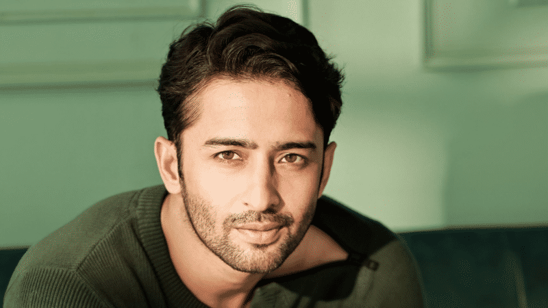 Shaheer Sheikh is also recognised as ‘Indonesia’s SRK’ as well.