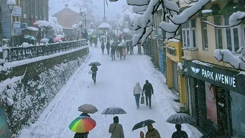 Himachal: Snowfall in Shimla Brings Cheer to Tourism, Farming Sectors ...