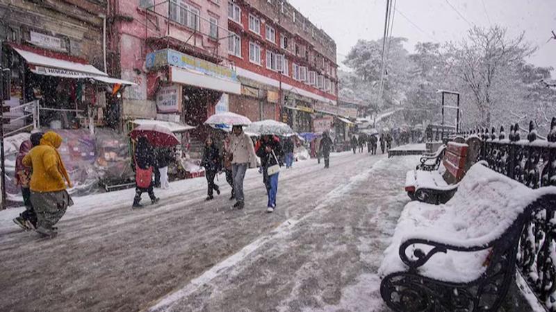 Shimla Transforms into a Snowy Paradise After Fresh Snowfall | In Pictures 