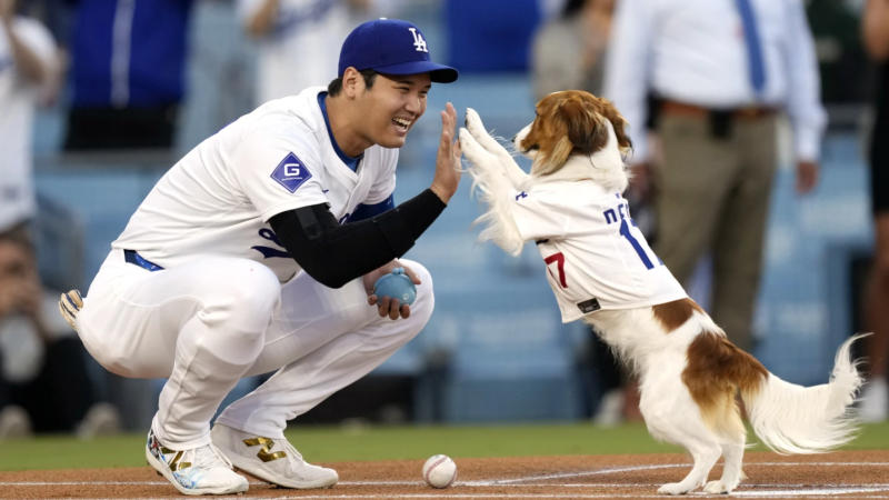 Shohei Ohtani