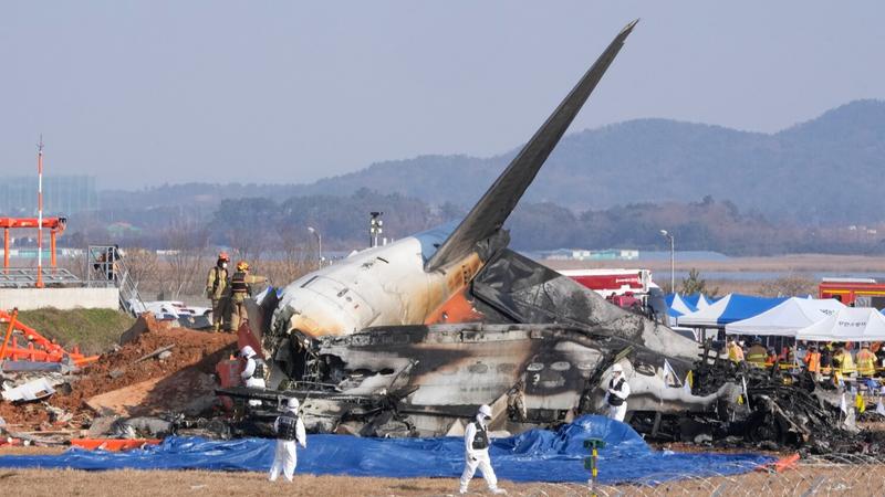 South Korea plane crash 