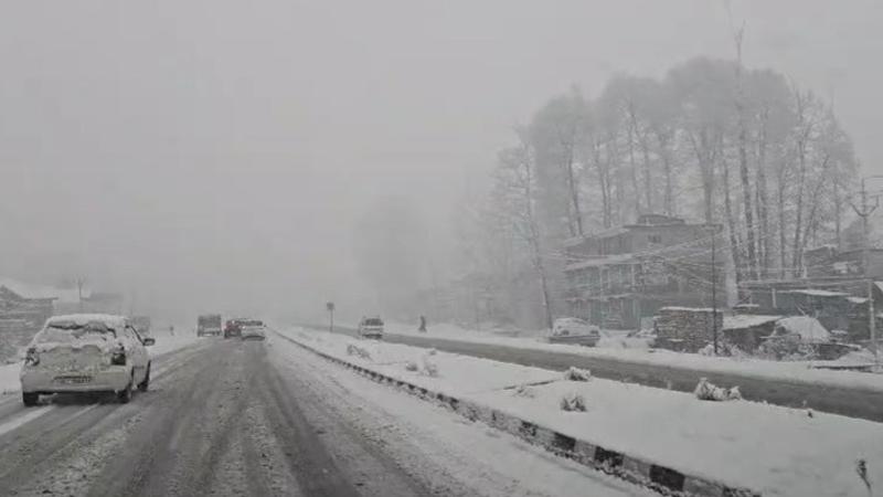 Srinagar Snowfall Video