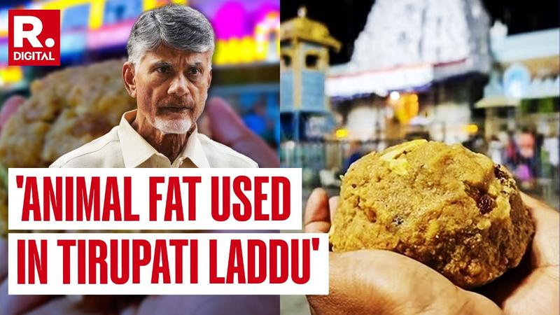 Test Report Confirms Beef Fat, Fish Oil Used in Making Laddus at Tirupati Temple