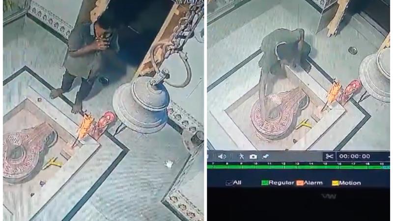 theif stealing snake from temple