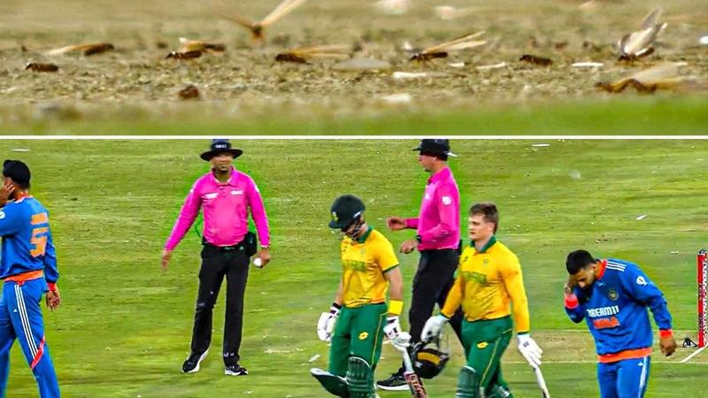 third t20i between india and south africa at centurion has been suspended by flying ants