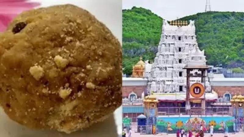 Tirupati Laddoos 