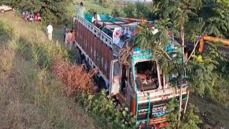 Truck carrying elephants and crocodiles overturns in Telangana forest