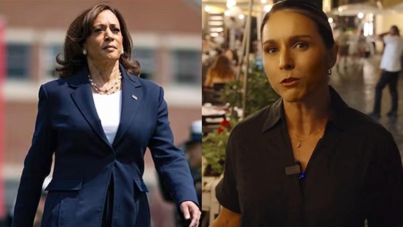 Tulsi-Gabbard-Attack-on-Kamala-Harris