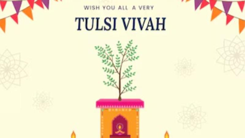 Tulsi Vivah 2024