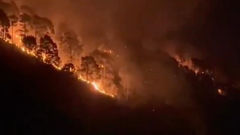 Udhampur Forest Fire 