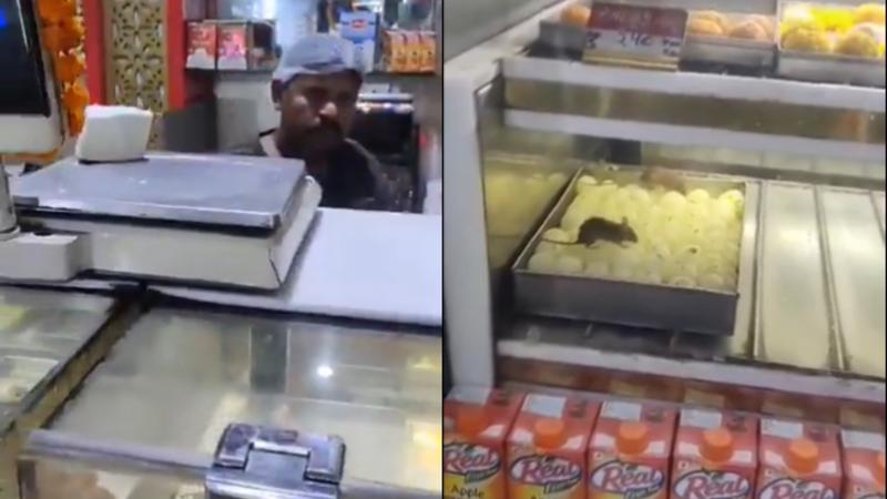 Viral Video of Rats Running Over Sweets 