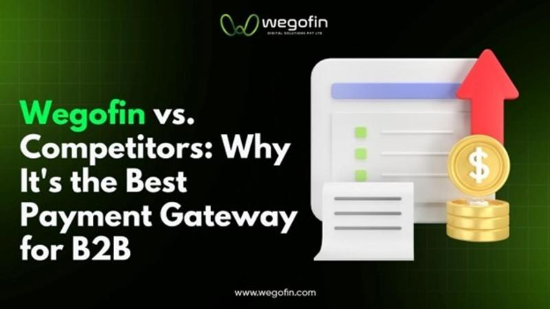 Wegofin: Best Payment Gateway for B2B