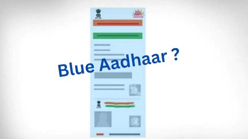 What is Blue Aadhaar Card? Know More About Features and Benefits