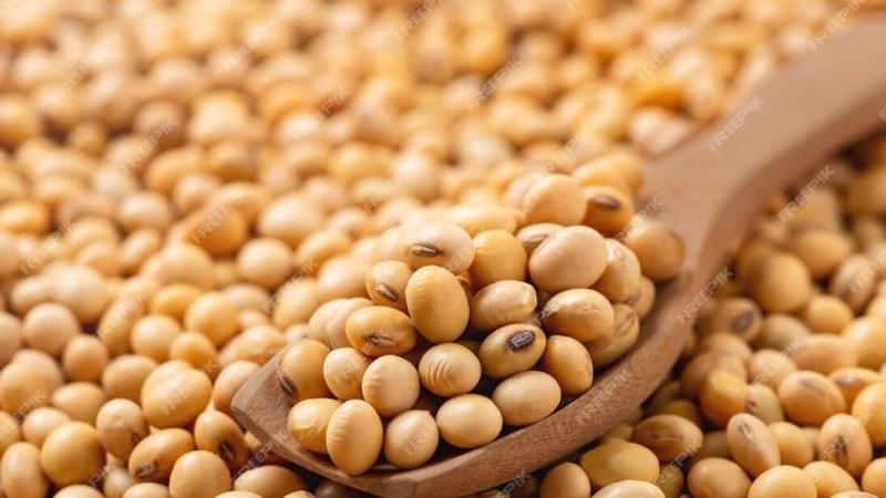 Whole wheat Soyabean Recipe