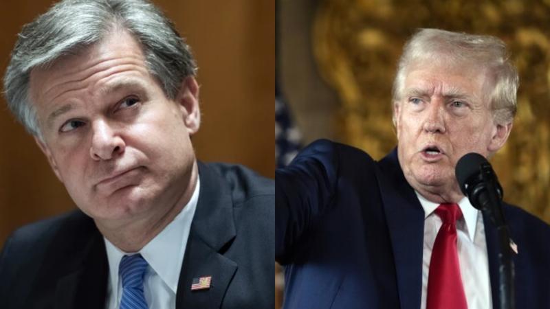 Will Trump Fire FBI Director Christopher Wray To Bring In Sweeping Changes?