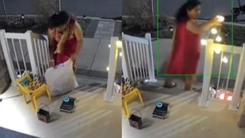  Woman in Salwar Kameez Filmed Stealing Halloween Candy in Canada, Sparks Racism Row 