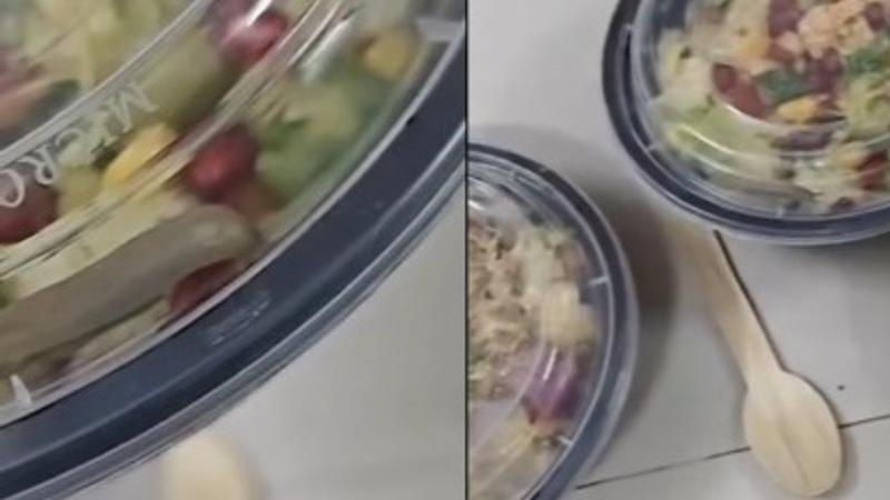 Bengaluru Man Finds Live Worm in Salad Ordered via Zomato, Video Goes Viral