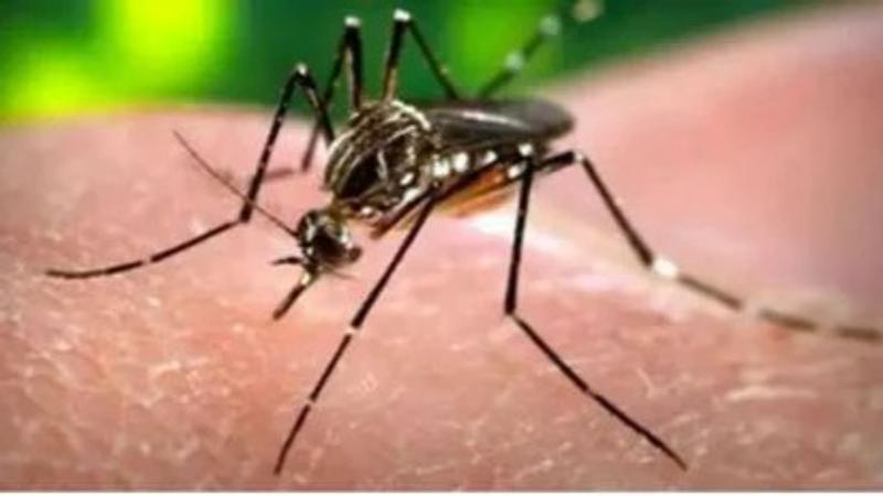 Zika Virus cases in Pune