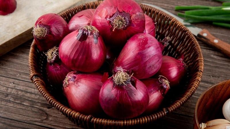 onion 