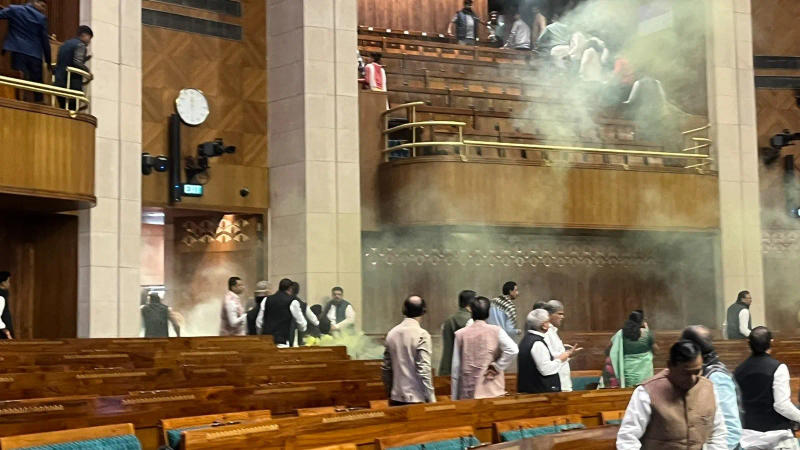 Smoke Attack in Parliament