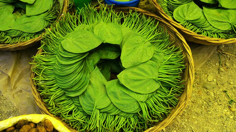 betel leaf