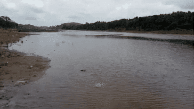 Flood Alert Issued in Coimbatore, Bhavani River Water Level Rises