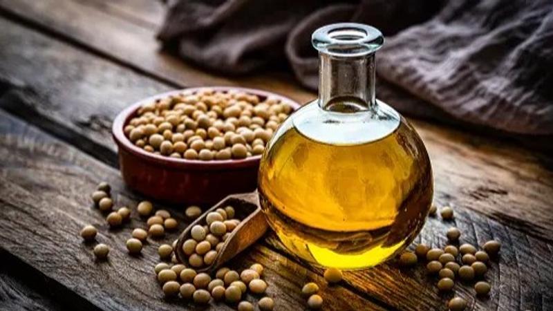 soybean oil,  oilseeds 