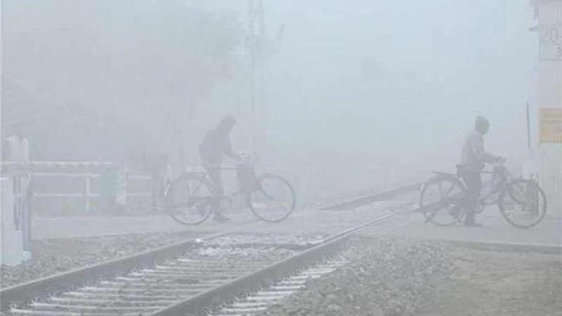 At 3 deg C, Delhi logs January's lowest temperature in 2 yrs