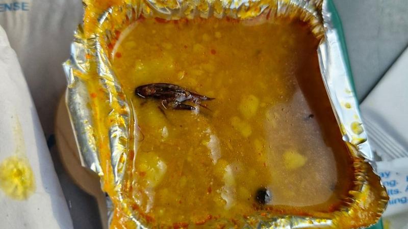 Vande Bharat Passengers Claim Finding ‘Cockroach’ in Meal, Railways Reacts