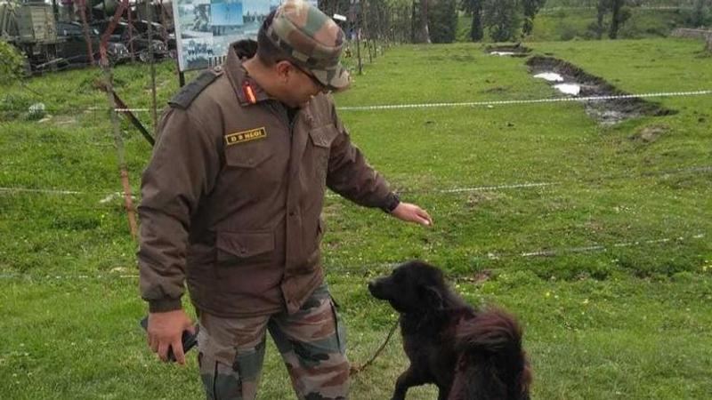 Dogs are indeed army's best friend in Jammu and Kashmir