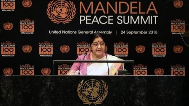 India Willing To Take Lead In Combating Climate Change: Sushma Swaraj