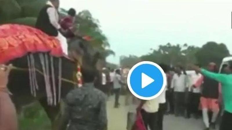 VIDEO | Newly-Elected Assam deputy speaker Kripanath Mallah falls off an elephant, laughs the incident off