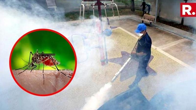 Rajasthan government on toes to get rid of Zika virus