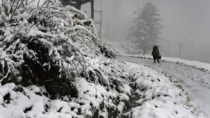 Heavy snowfall brings Kashmir Valley to a standstill